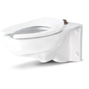 Gerber Gerber North Point Wall-Hung Elongated Top Spud Toilet Bowl - 728528 | Lowe's Pro Supply
