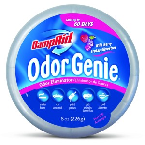 DampRid Odor Genie 8 oz, Wild Berry