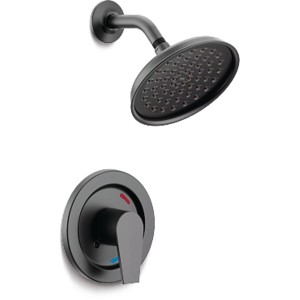 CFG Slate Matte Black Cycling Shower Only