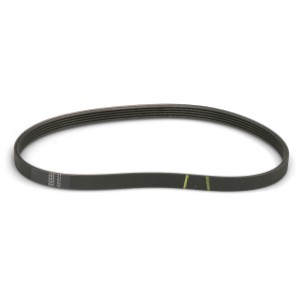 WHIRLPOOL WHIRLPOOL BELT - 3151118 | Lowe's Pro Supply
