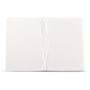 WHIRLPOOL WHIRLPOOL PAD - 3150705 | Lowe's Pro Supply