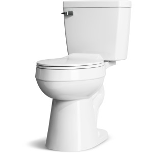 Project Source Project Source Pro-Flush 1.28 GPF Elongated ADA 17-in H - 728506 | Lowe's Pro Supply