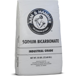 Arm & Hammer Arm & Hammer Sodium Bicarbonate 50 lb Bag - 905135 | Lowe's Pro Supply