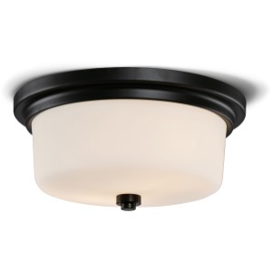 Design House Aubrey 2-Light Flush Mount, Frosted Glass, Matte Black - 432001 | Lowe's Pro Supply