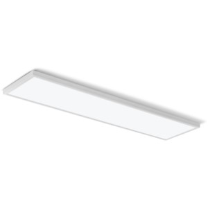 Lithonia Lighting CPANL LED Flat Panel, 1-Ft x 4-Ft - 442003 | Lowe's Pro Supply