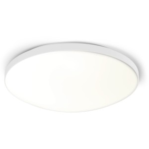 Lithonia Lighting FMLR Round Flush-Mount Light - 442020 | Lowe's Pro Supply