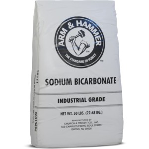 Arm & Hammer Arm & Hammer Sodium Bicarbonate 50 lb Bag - 905135 | Lowe's Pro Supply