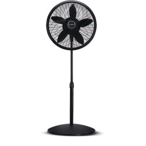 Elegance & Performance Large Room Pedestal Fan