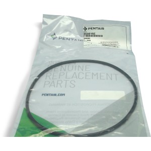 Pentair Seal Plate O-Ring 8.5" x .25" - 918586 | Lowe's Pro Supply