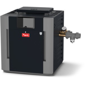 Raypak 017706 267A Low NOx Digital Natural Gas ASME Heater with Bronze Headers and Copper Tubing - 918615 | Lowe's Pro Supply