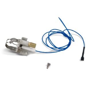 Raypak 002003F Propane and Natural Gas Pilot For Model 53A, 53B, 055A, 055B IID Pool Heater - 918623 | Lowe's Pro Supply