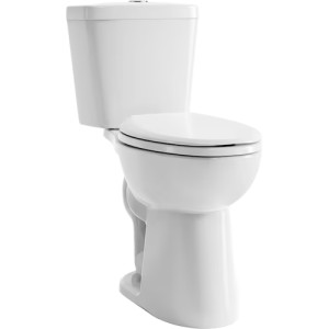 Project Source Project Source Pro-Flush 1.1/1.6 GPF Dual Flush ADA 17-in H - 728507 | Lowe's Pro Supply