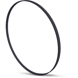 Hayward Housing Gasket for Super and MaxFlo Pumps - 930339 | Lowe's Pro Supply