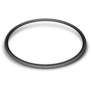Hayward Strainer Cover O-Ring for Super II Pump - 930343 | Lowe's Pro Supply