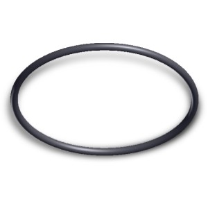 Hayward Strainer Cover O-Ring for TriStar Pump - 930349 | Lowe's Pro Supply