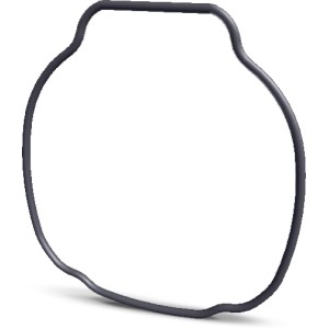 Hayward Housing O-Ring for TriStar Pump - 930352 | Lowe's Pro Supply