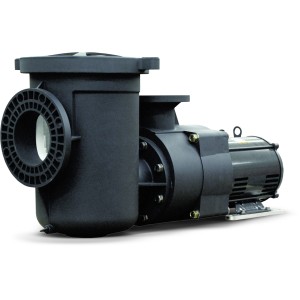 Pentair EQ Series Commercial Pump 10 HP 208-230/460V 27/26.2-13.1 Amp - 930364 | Lowe's Pro Supply