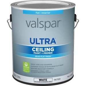 Valspar Ultra Flat Ceiling White Ceiling Paint + Primer, 1-Gallon - 811739 | Lowe's Pro Supply