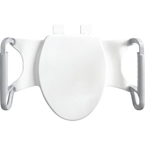 Bemis Bemis Assist™ Standard Height Premium Toilet Seat + Support Arms - 730025 | Lowe's Pro Supply