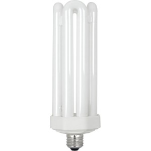 65W Daylight (6500K) E39|E26 Base PL Compact Fluorescent Light Bulb