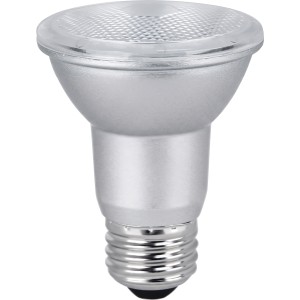 Feit Electric 5W (50W Replacement) Bright White (3000K) E26 Base PAR20 Dimmable LED Light Bulb (2-Pack) - 413500 | Lowe's Pro Supply